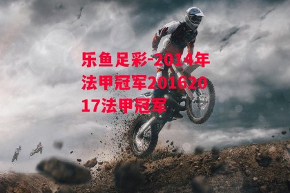 乐鱼足彩-2014年法甲冠军20162017法甲冠军