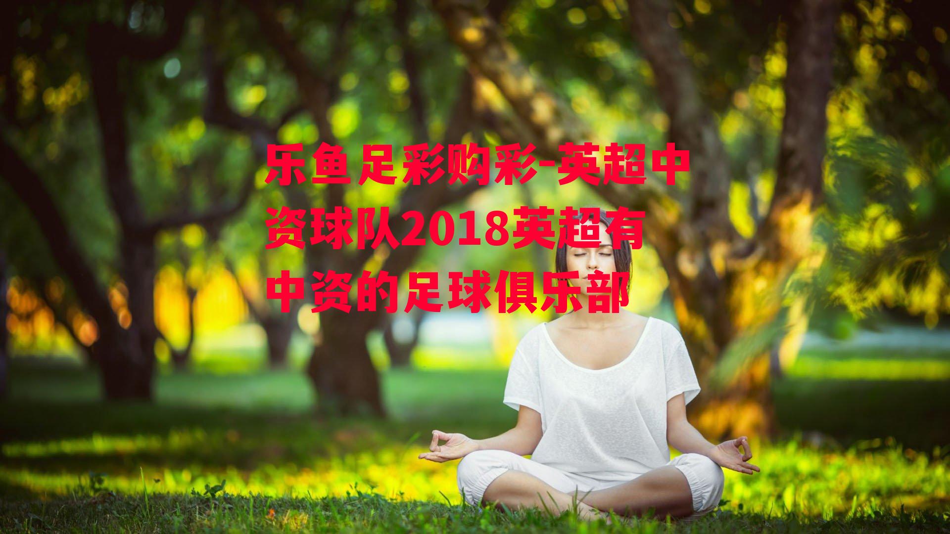 英超中资球队2018英超有中资的足球俱乐部